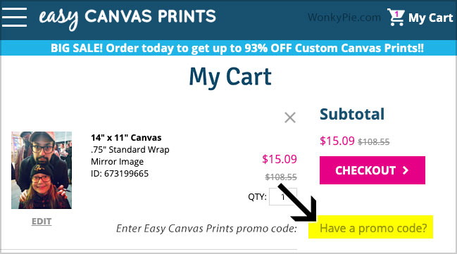 easy canvas promo code enter